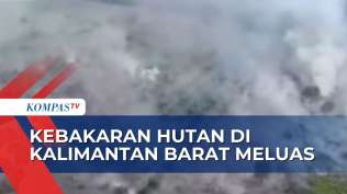 tak-hanya-di-kawasan-hutan-titik-kebakaran-lahan-di-kalbar-diduga-juga-terjadi-di-perkebunan