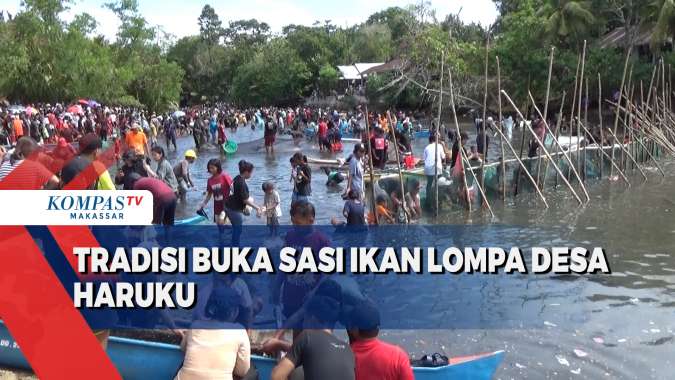 Tradisi Buka Sasi Ikan Lompa Desa Haruku