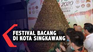 ribuan-bacang-dan-kicang-meriahkan-festival-bacang