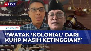 Zainal Arifin-Jubir PDIP Kritisi Pasal 218 KUHP: Kritik Ke Presiden Bisa Dikoreksi Jadi Penghinaan