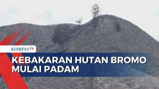 karhutla-di-bukit-teletubbies-bromo-berhasil-dikendalikan-api-berangsur-padam
