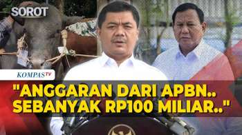 Anggaran 1.098 Sapi Kurban Iduladha 2026 Oleh Presiden Prabowo Pakai APBN, Capai Rp100 Miliar