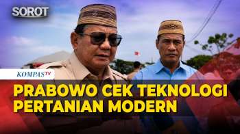 Momen Prabowo Cek Teknologi Budidaya Padi Modern Di Gorontalo