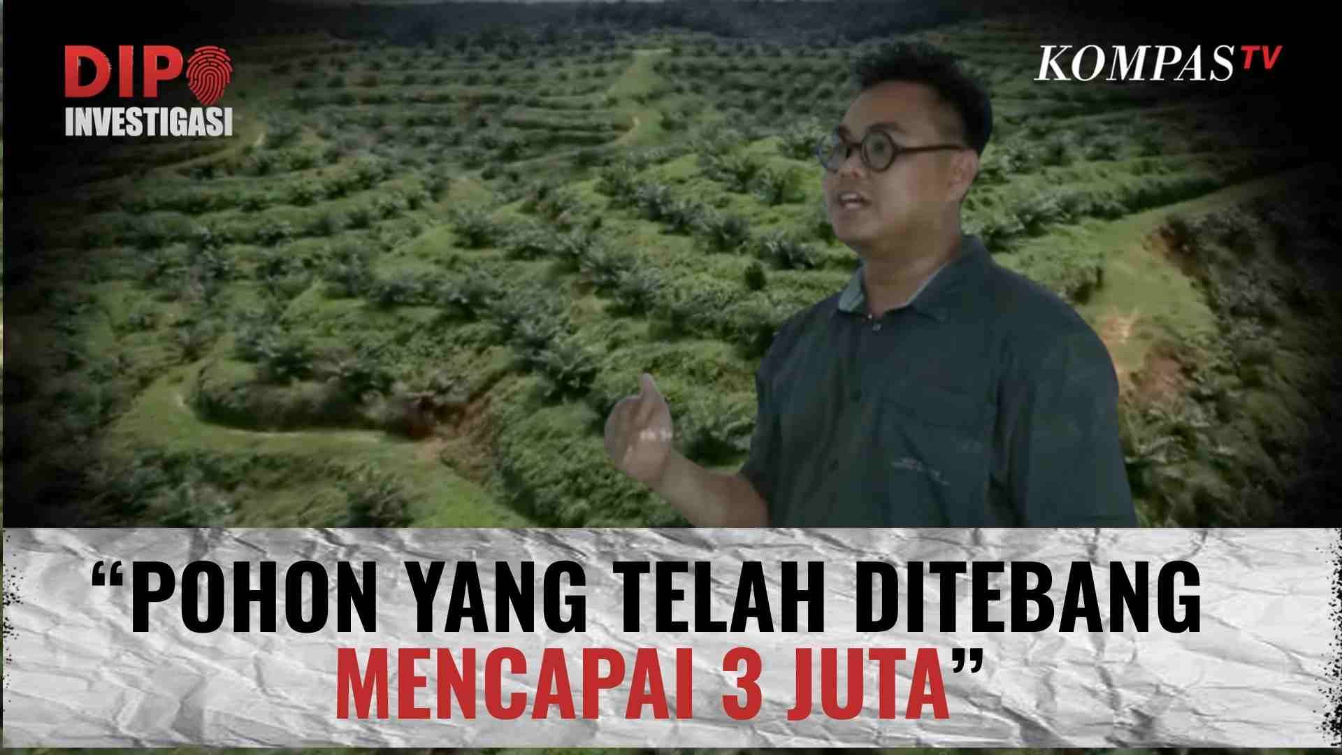 Singgung Deforestasi dan Banjir Sumatera, WALHI: Usut Tuntas Mafia Hutan! | DIPO INVESTIGASI