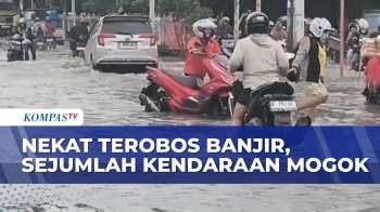 Pengendara Motor Nekat Terobos Banjir Di Jalan Panjang, Berakibat Kendaraan Mati Mesin