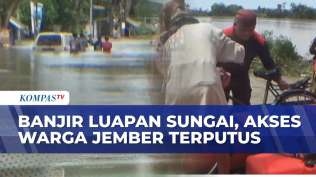 banjir-rendam-12-desa-di-jember-ketinggian-air-hingga-1-5-meter-bpbd-evakuasi-warga-terisolasi