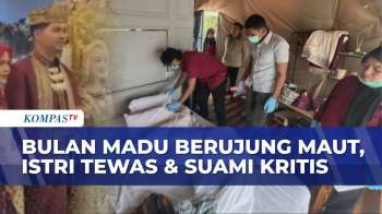 Bulan Madu Berujung Maut Di Solok: Istri Tewas Dan Suami Kritis, Begini Pengusutan Polisi