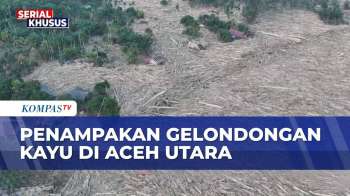 Penampakan Udara Kayu Gelondongan Penuhi Permukiman Di Aceh Utara,  Miliki Tanda Khusus!