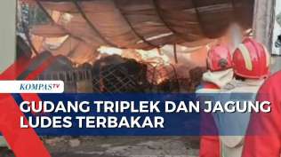 gudang-penyimpanan-kayu-dan-jagung-ludes-terbakar-petugas-damkar-kesulitan-cari-air