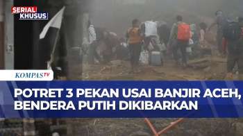 Aceh 3 Pekan Usai Banjir: Korban Berjuang Bertahan Hidup, Masih Terisolir, Bendera Putih Berkibar