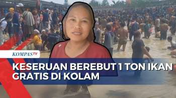 Kolam Pemancingan di Tegal Diserbu, Wisatawan Antusias Berebut Ikan Gratis Sebanyak 1 Ton!