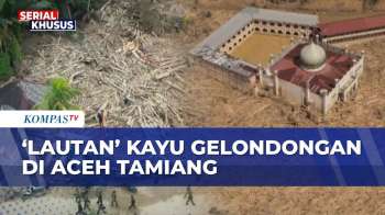 14 Hari Usai Banjir Bandang Di Aceh Tamiang: Masjid Kokoh Bertahan Meski Terkepung Gunungan Kayu