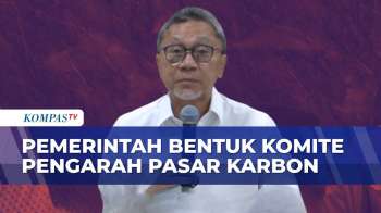 Soal Aturan Nilai Ekonomi Karbon, Zulhas: Perpres NEK Bisa Optimalkan Pasar Karbon