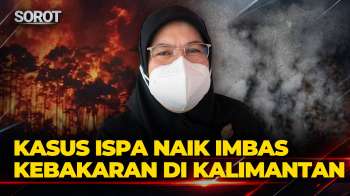 Kabut Asap Imbas Karhutla Di Kalimantan Picu Kenaikan Kasus ISPA 10 Persen Di Banjarbaru