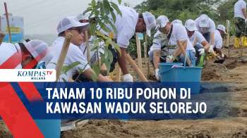 Tanam 10.000 Pohon Di Waduk Selorejo