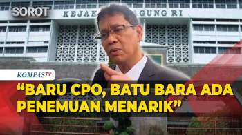 Menarik! Menkeu Purbaya Seret 10 Raksasa CPO ke Kejagung, Ada Temuan Perusahaan Batu Bara