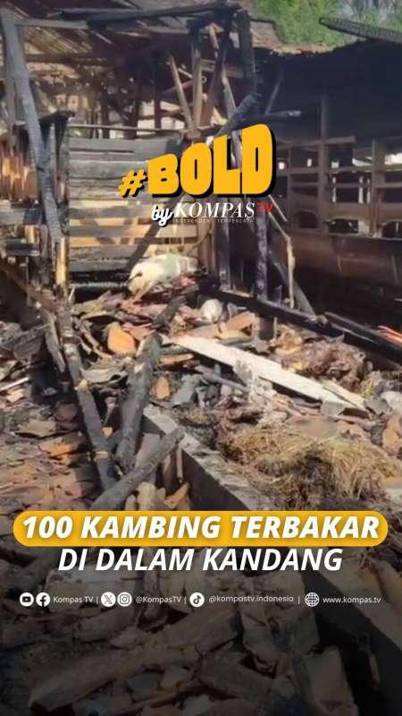 100 KAMBING TERBAKAR DI DALAM KANDANG