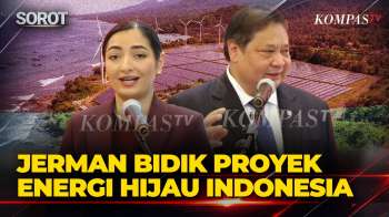 FULL! Airlangga Bicara Soal Jerman Bidik Proyek Energi Hijau Dan Target 100 GW Surya Indonesia