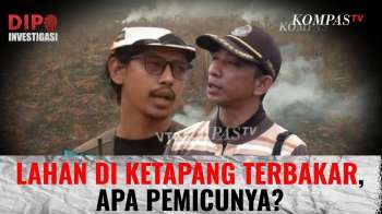 Karhutla Ketapang, Kalbar Meluas, Apa Pemicu Sumber Apinya? | DIPO