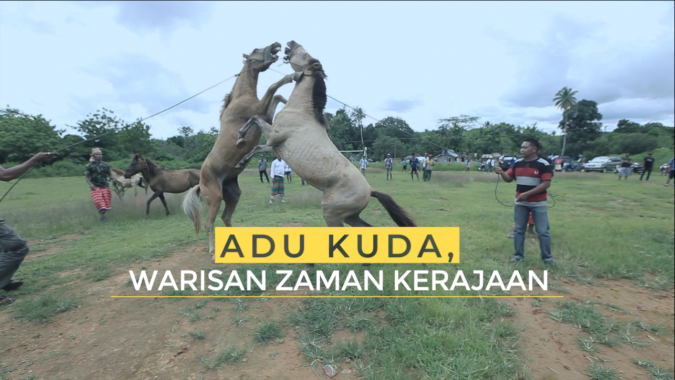 Adu Kuda, Warisan Zaman Kerajaan | Ekspedisi Pulau Muna (5)