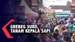 tradisi-grebeg-suro-warga-tanam-kepala-sapi-di-sumber-mata-air