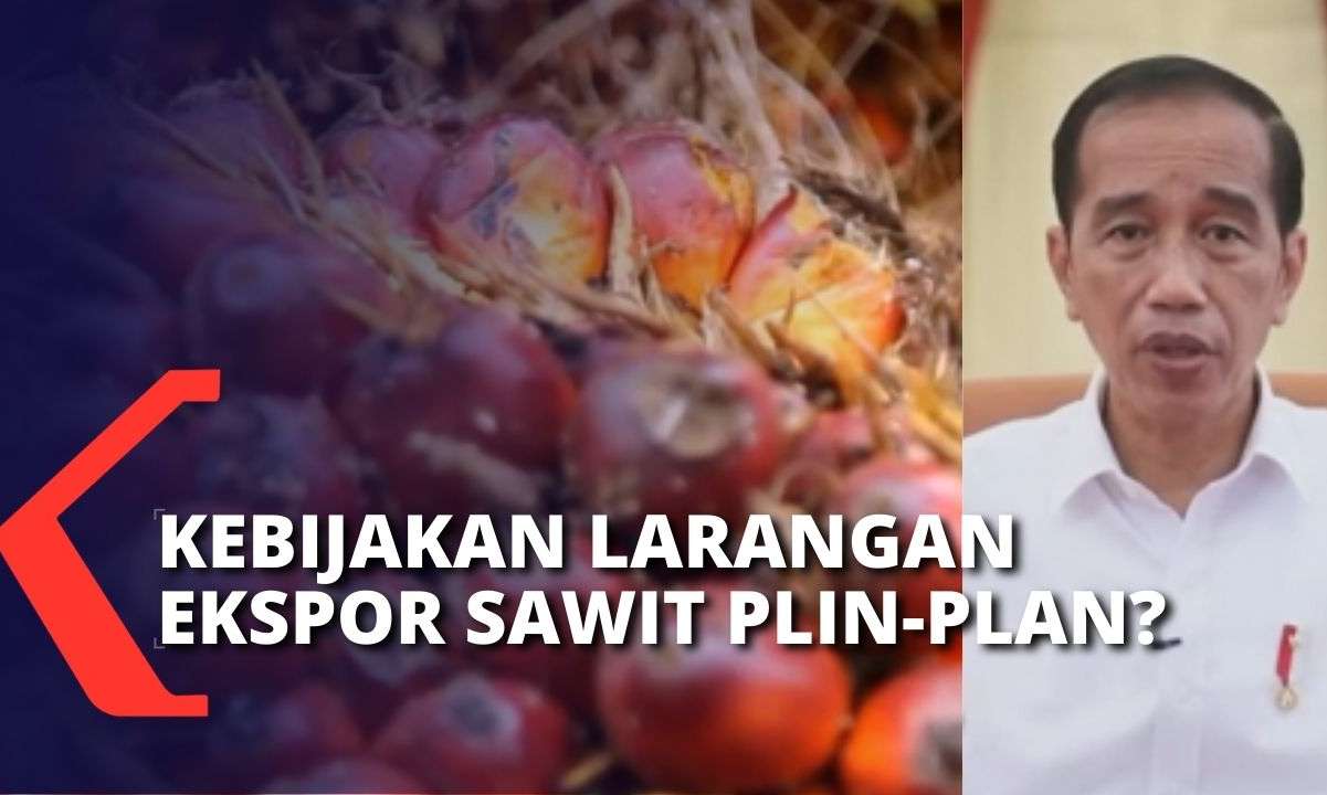 Kebijakan Larangan Ekspor Sawit Berubah-ubah, Siapa yang Paling Terdampak?
