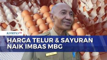 Harga Telur Naik Di Sejumlah Daerah, Dipicu Permintaan Program Makan Bergizi Gratis | KOMPAS SIANG