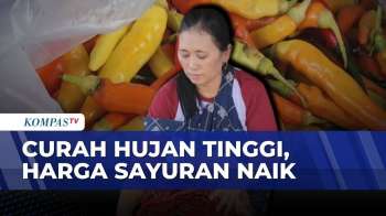 Harga Sayuran Di Semarang Naik Dua Kali Lipat, Dipicu Curah Hujan Tinggi | KOMPAS SIANG