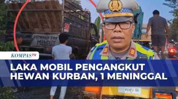 Mobil Penjemput Hewan Kurban Tabrak Dua Motor Di Gunungkidul, Satu Orang Meninggal | KOMPAS SIANG