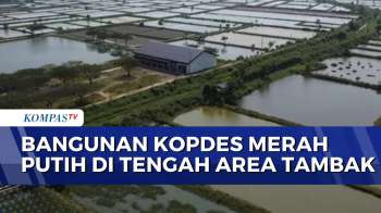 Koperasi Desa Merah Putih Di Pati Berdiri Di Kawasan Tambak | KOMPAS SIANG