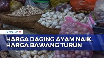 Harga Daging Ayam di Jember Rp37 Ribu per Kg, Harga Bawang di Denpasar Turun dalam 1 Bulan Terakhir