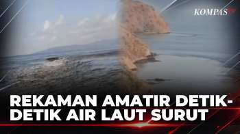 Rekaman Amatir Detik-Detik Air Laut Surut Saat Gempa NTT, BMKG Imbau Warga Waspada | BERUT