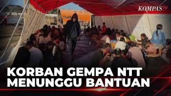 Korban Gempa NTT Mengungsi, Bantuan Belum Tiba akibat Akses Jalan Lumpuh | BERUT