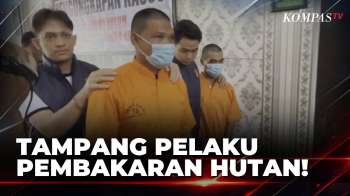 Polisi Tangkap Pelaku Pembakaran Hutan dan Lahan di Palangka Raya dan Jambi
