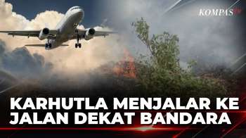 Darurat Karhutla! Kebakaran Lahan Dekat Bandara Supadio Merambat Ke Jalan | BERUT