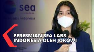 induk-perusahaan-shopee-siap-mencetak-1-000-talenta-teknologi-lokal-berkelas-global