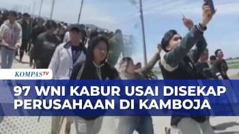 Ricuh! Detik-Detik 97 WNI Kabur Dari Perusahaan Penipuan Di Kamboja, 4 Diproses Hukum | BERUT