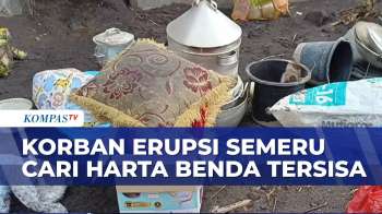Rumah Diterjang Erupsi Semeru, Warga Cari Sisa Barang Yang Masih Bisa Dipakai | KOMPAS SIANG