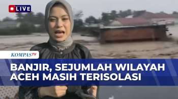 Terkini! Pantauan Banjir Aceh Rendam Empat Kecamatan, Jembatan Dipenuhi Kayu Gelondongan