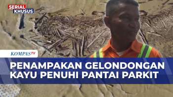 Potret Pantai Parkit Dipenuhi Kayu Gelondongan Pasca-Banjir Dan Longsor Sumatera Barat | SAPA MALAM