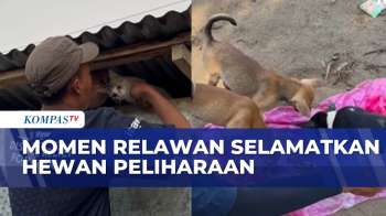 Selamatkan Hewan Peliharaan, Relawan Dari Animal Rescue Terobos Lokasi Banjir & Longsor Di Sumut
