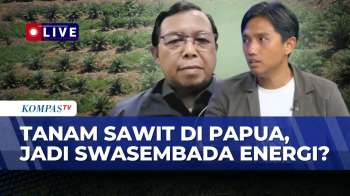 [FULL] Prabowo Dorong Tanam Sawit Di Papua: DPR & Greenpeace Soroti Dampaknya