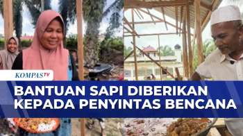 Mendagri Sebut Presiden Prabowo Beri Bantuan Sapi Rp72 M Ke Aceh | SAPA SIANG