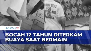 Detik-Detik Bocah 12 Tahun Dievakuasi Usai Diterkam Buaya Di Kolong Rumah  | BERITA UTAMA