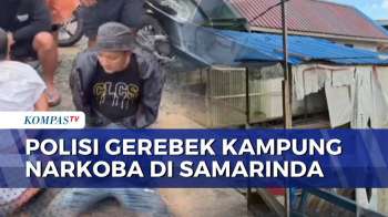 Polisi Gerebek Kampung Narkoba di Samarinda, 11 Bandar Ditangkap | BORGOL