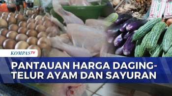Pantauan Harga di Pasar Tradisonal: Daging Ayam dan Cabai Mahal, Harga Telur Ayam Anjlok