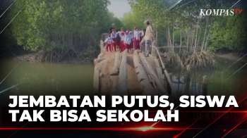 Jembatan Putus, Warga Pandeglang Terpaksa Seberangi Sungai Lewat Batang Kelapa | BERUT