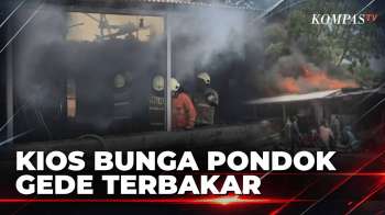 Kebakaran Kios Bunga di Pondok Gede, Pedagang Panik Selamatkan Dagangan | SAPA MALAM