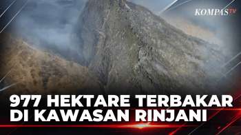 Karhutla Rinjani Meluas, 977 Hektare Terbakar dan Jalur Pendakian Ditutup | SAPA MALAM