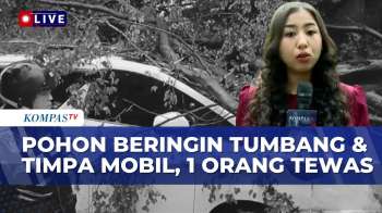 Hujan Deras Buat Pohon Beringin Di Jalan Dharmawangsa Tumbang & Timpa 4 Mobil, 1 Orang Tewas